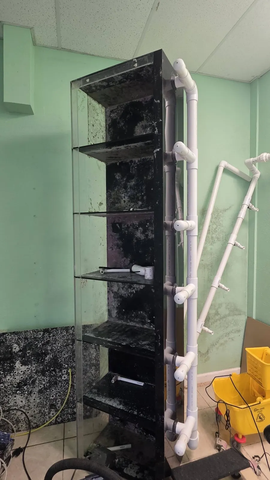 Multi-level aquarium system in the store